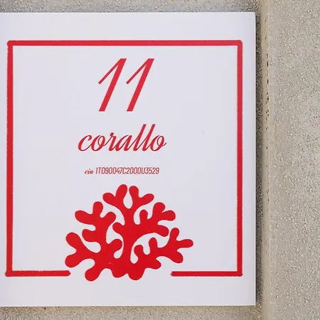 Corallo E Conchiglia *